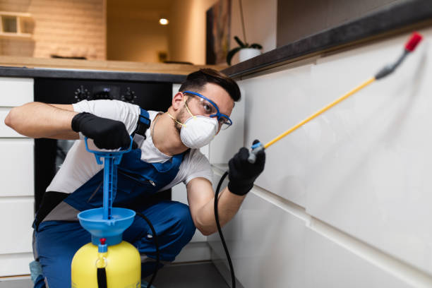 Best Affordable Pest Control Services  in Glenolden, PA