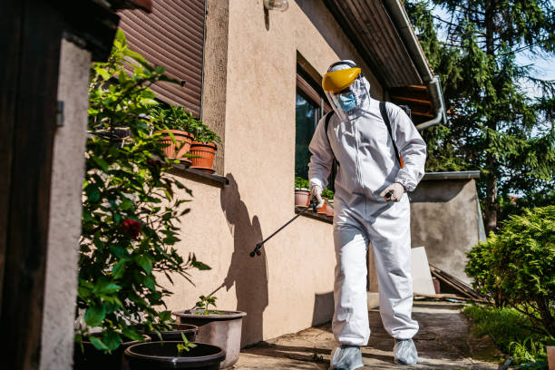 Best Residential Pest Control  in Glenolden, PA