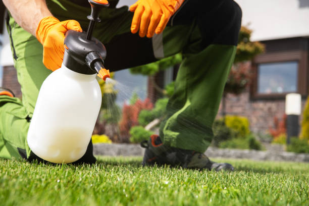 Trusted Glenolden, PA Pest Control Experts