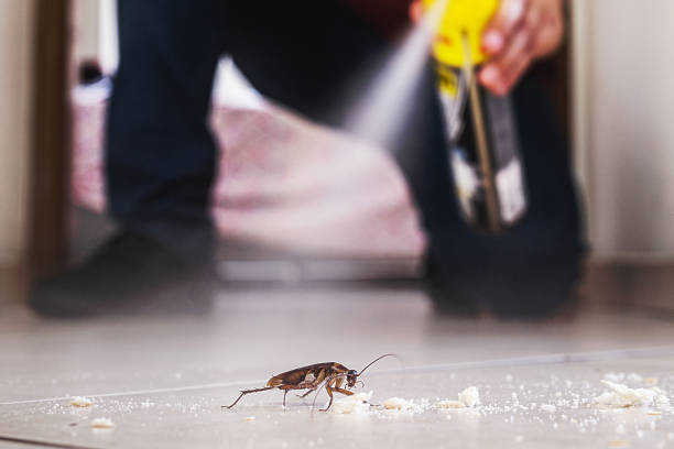 Best Affordable Pest Control Services  in Glenolden, PA