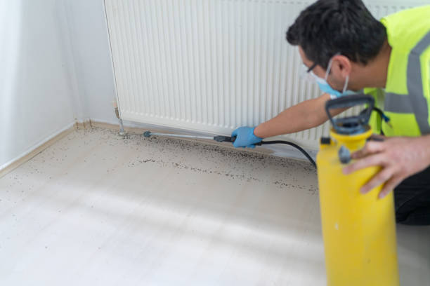 Best Pest Control for Restaurants  in Glenolden, PA