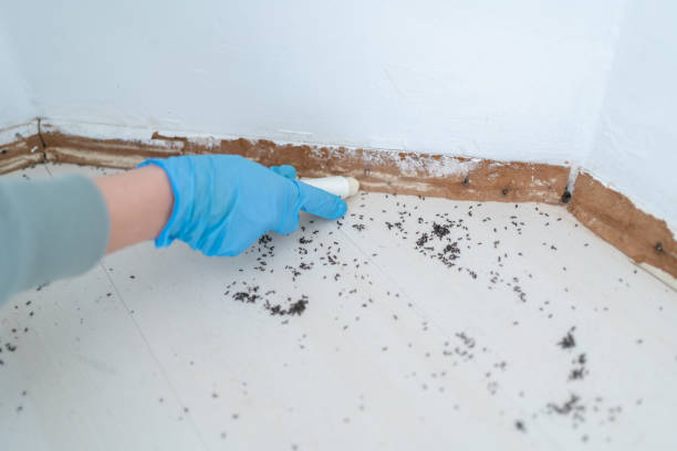 Wildlife Control Services in Glenolden, PA